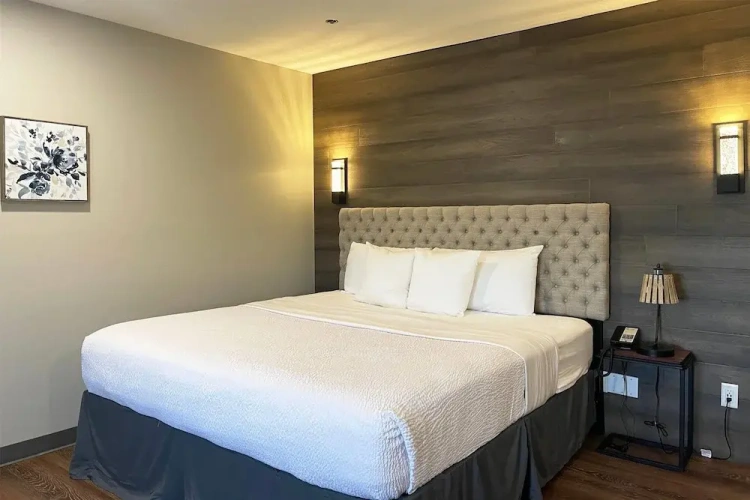 Deluxe Double Suite