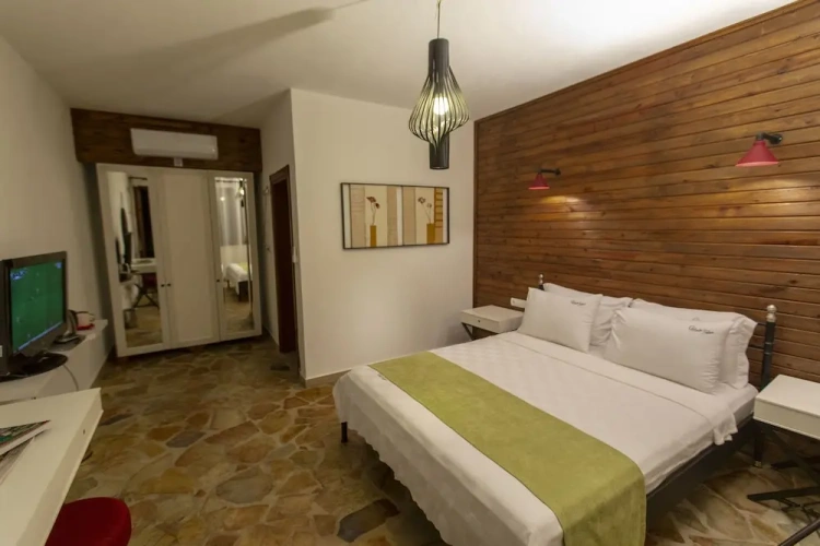 Standard Double room with mountain view