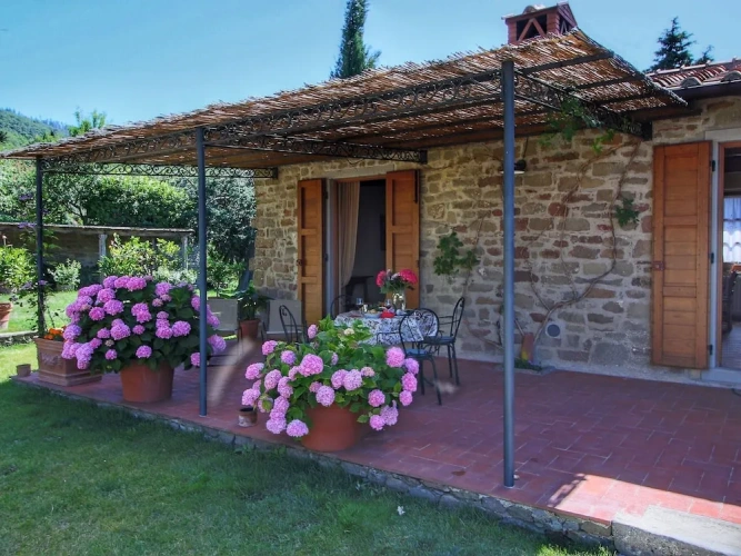 1 Bedroom Comfort Cottage