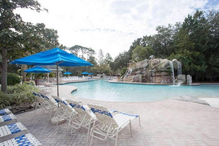 Innisbrook A Salamander Golf And Spa Resort photo 17