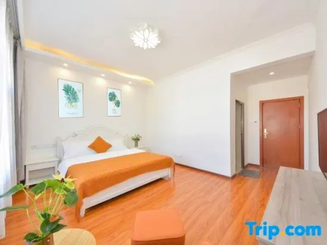 1 Bedroom Standard Double room