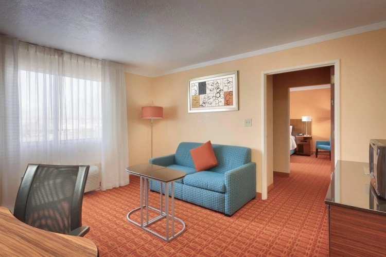 1 Bedroom Suite