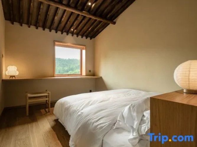 Duplex Suite