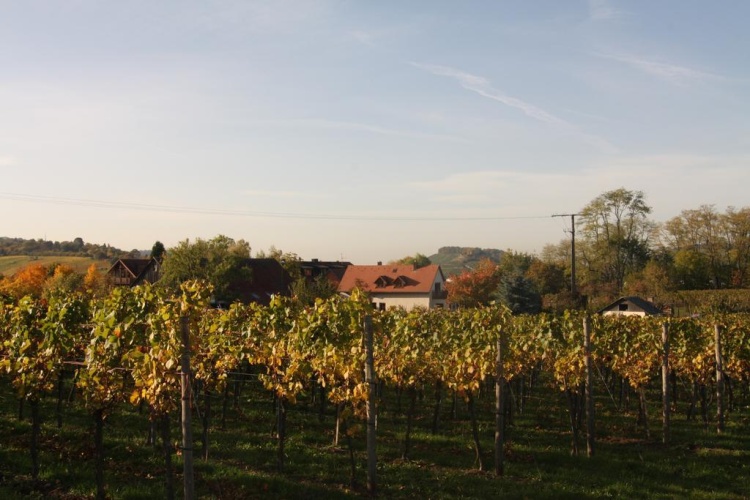 Hotel und Gutsgaststätte Rappenhof