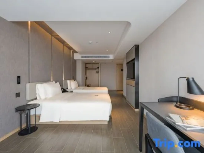 Standard Twin room with city view