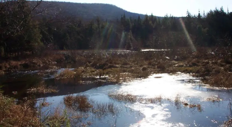 Moon Shadow Lodge Ltd