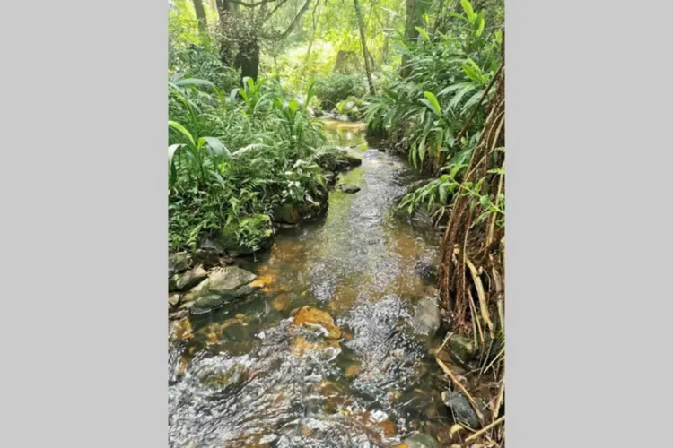 Nature Lovers Paradise