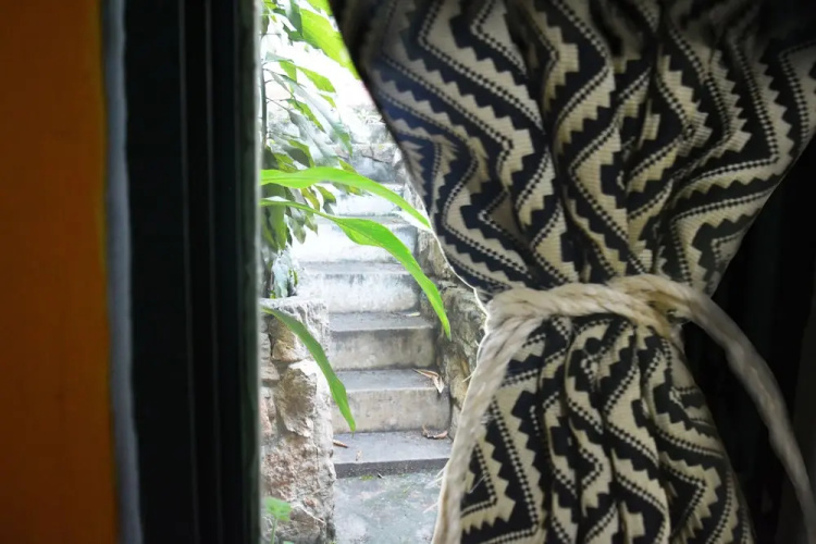 The Green House Hostel