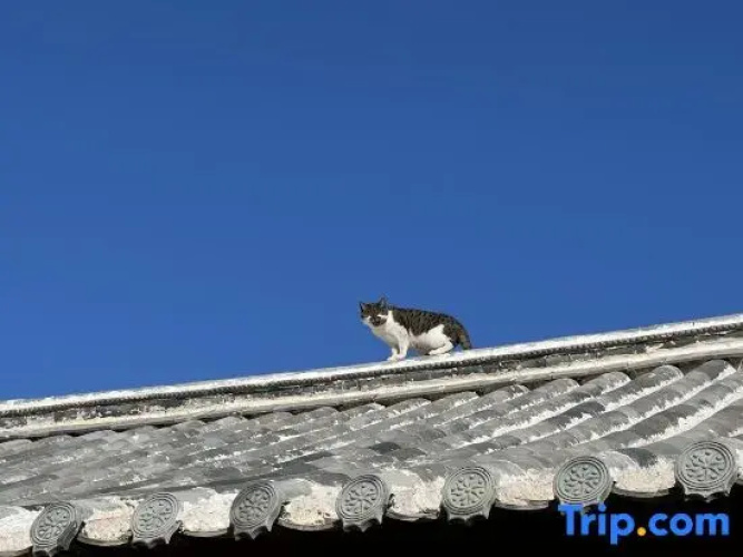 WeiShan Ancient City Pingchang Homestay
