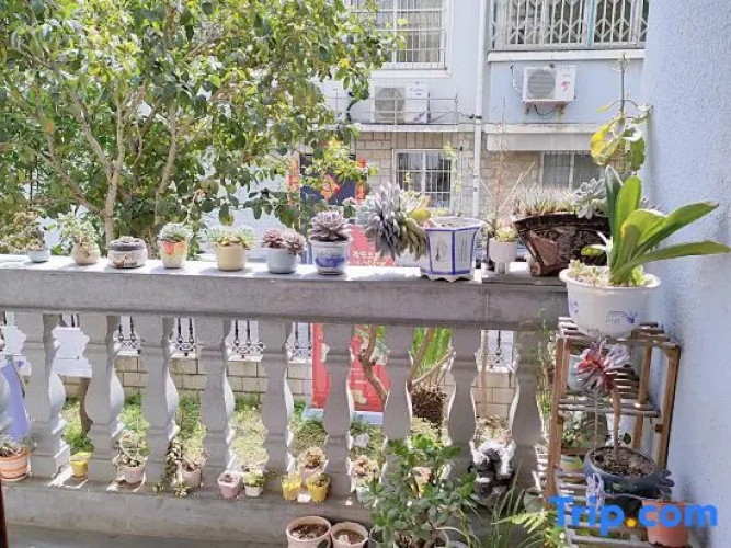 Ningbo Yingjuan lodging