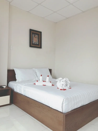 1 Bedroom Standard Apartment