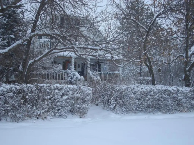 Ferintosh Manor Bed & Breakfast