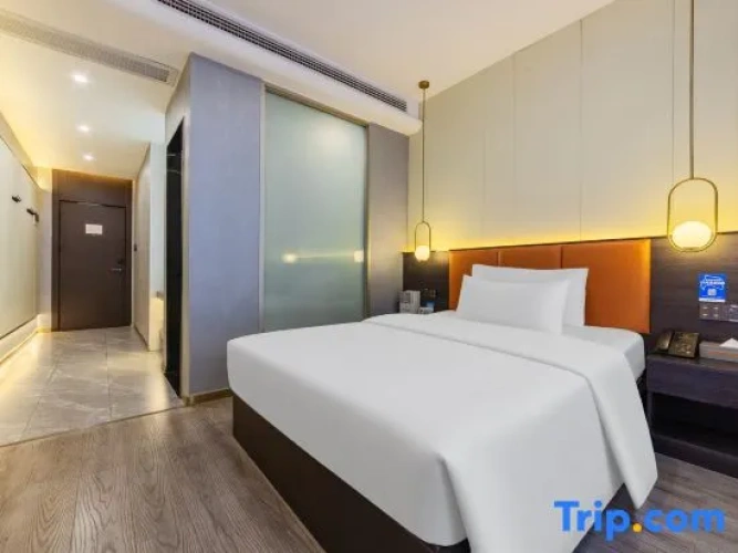 Executive Single room