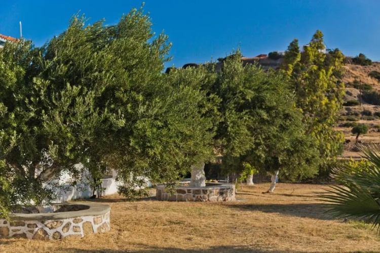 Olive Studios Karpathos Studio #1