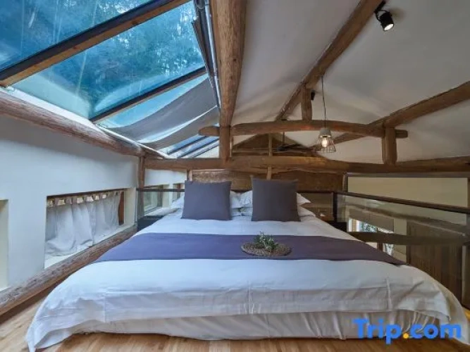 Duplex Suite