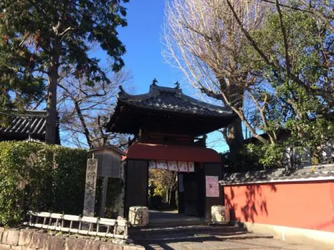 Suzume-An
