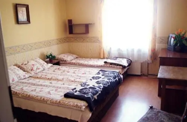 Willa Skaleń