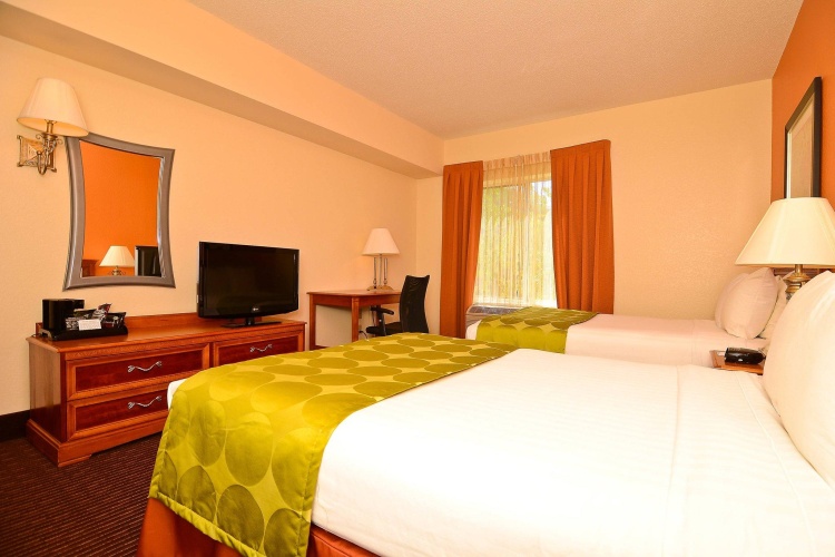 Standard Quadruple room