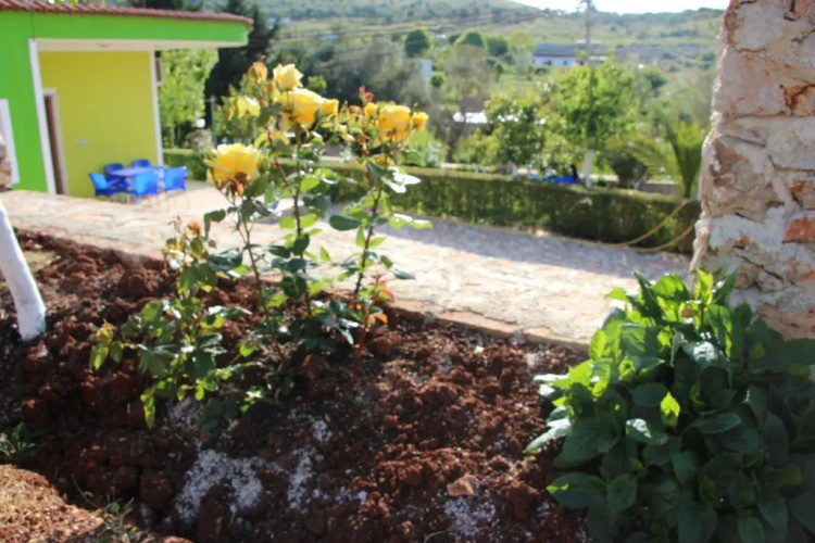 Garden House