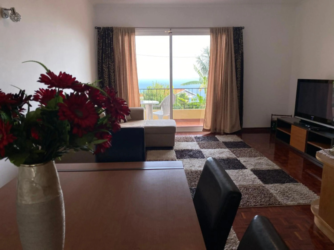 Inmaculado Apartment