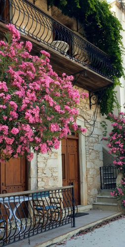 Traditional seafront apartment