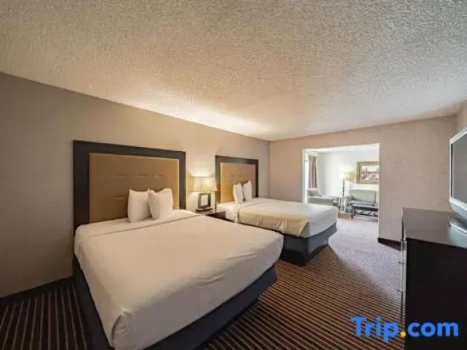 Quadruple Suite