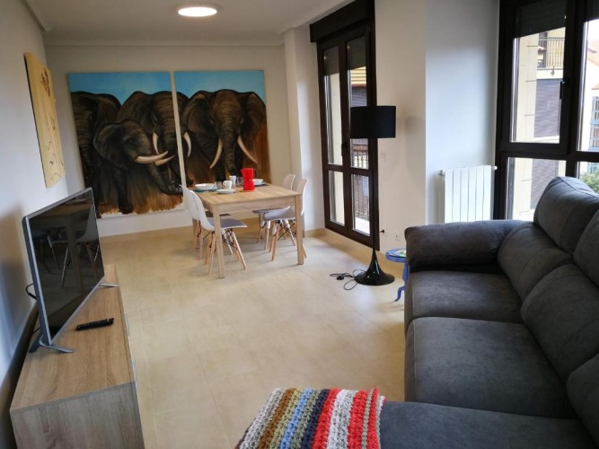 Deluxe Twin Apartment