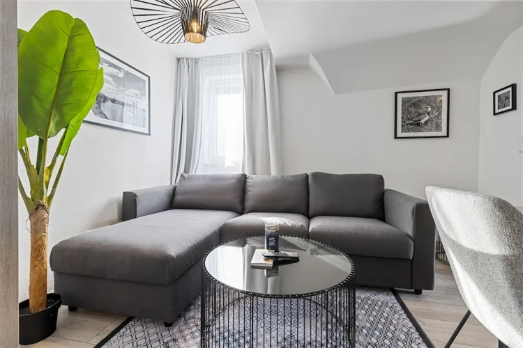 Comfort Apartment