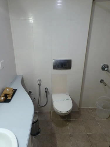 Deluxe Double room with park view