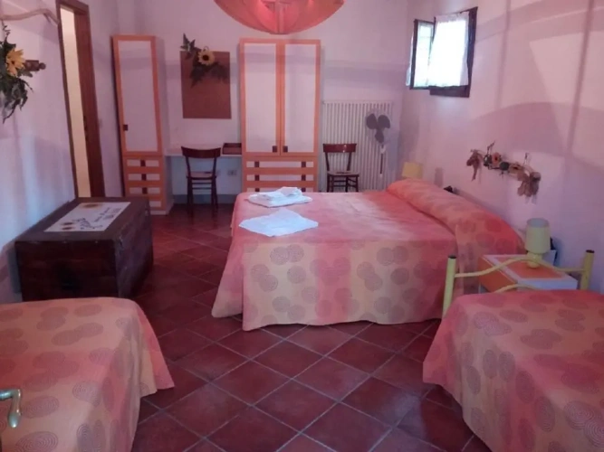 Standard Quadruple room