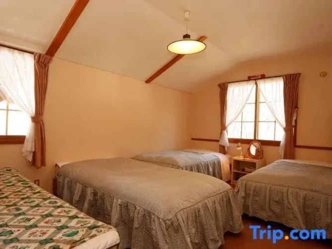 Standard Twin room with mountain view