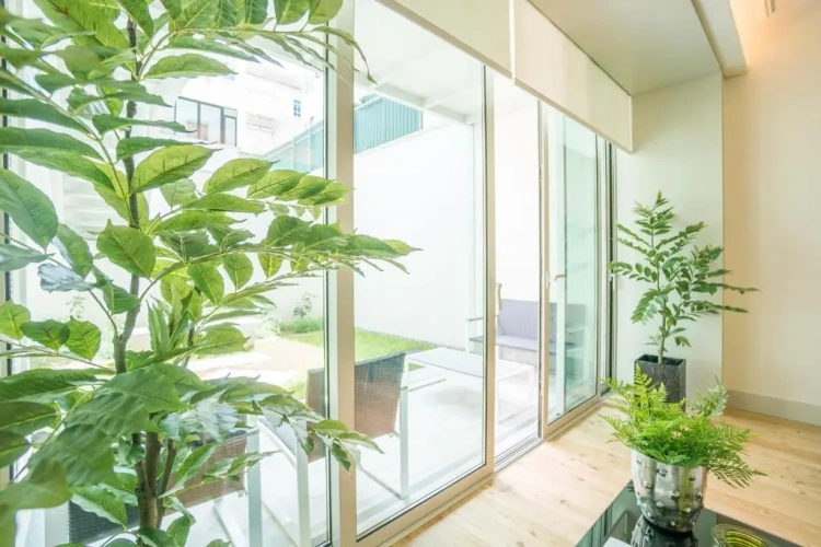 Double Apartment