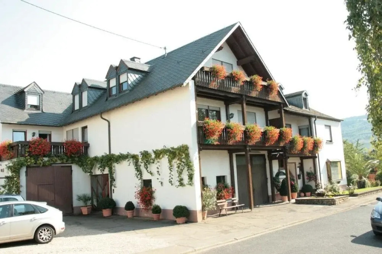 Weingut***Pension Günther Scholtes