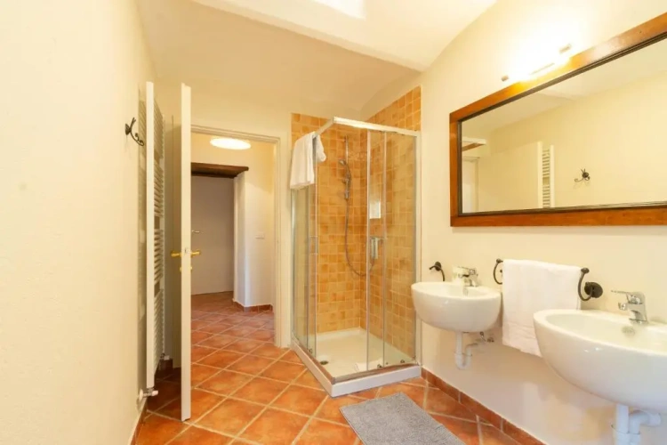 Standard Double room with mountain view