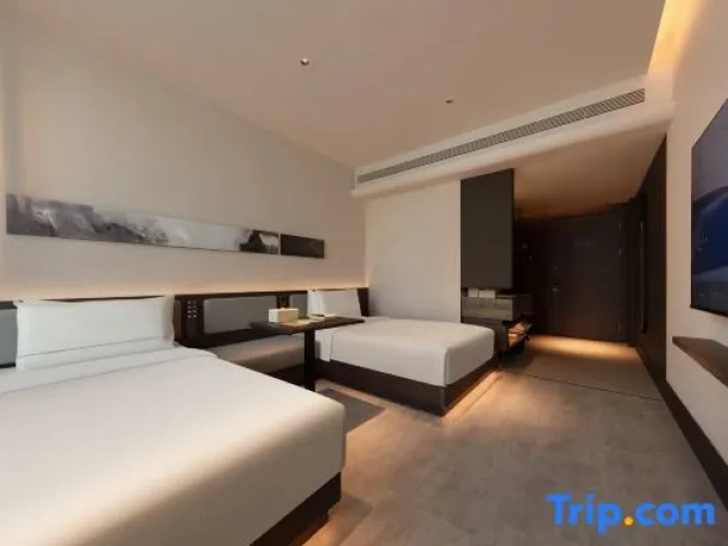 Executive Twin room