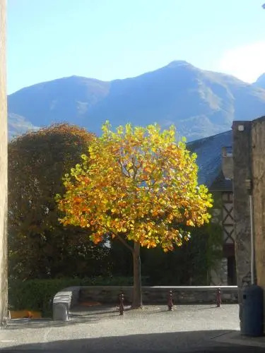 Hôtel Les Rochers