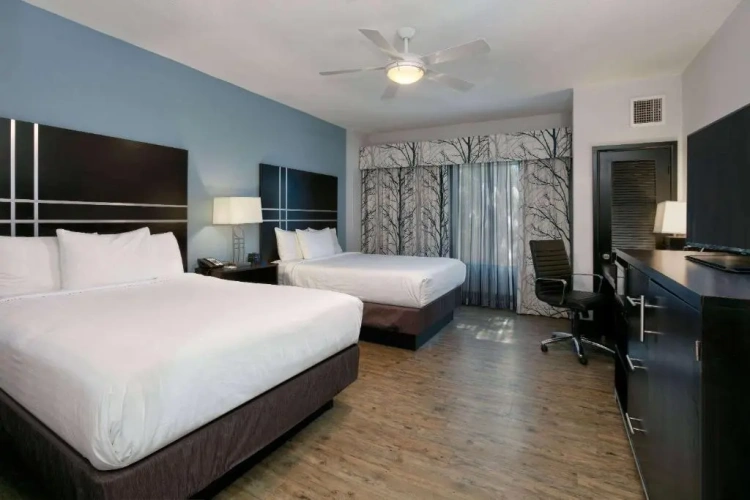 Double Suite