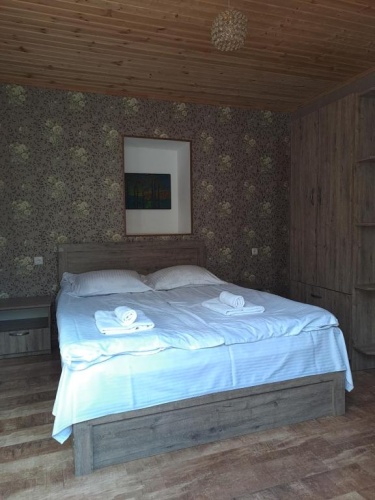 Standard Double room with garden view