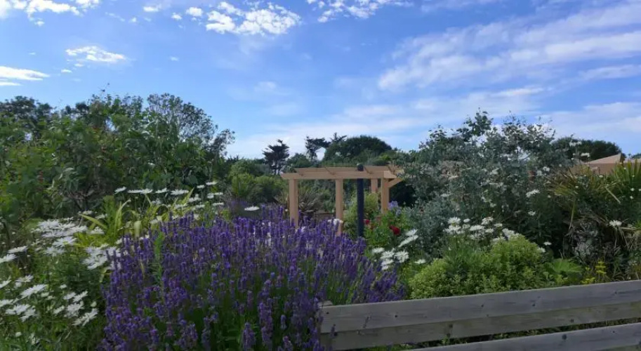 Au jardin de la nymphe bleue