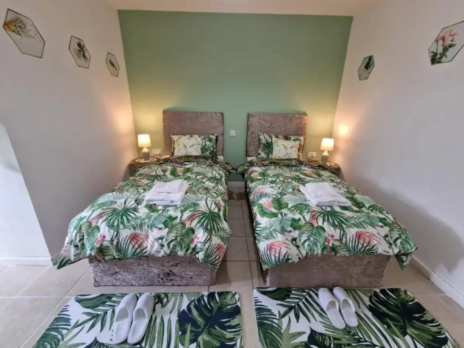 Standard Twin room with garden view