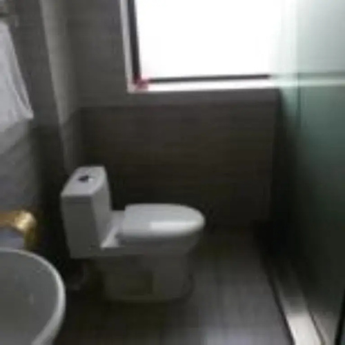 Pingguoxing Mini Guest House