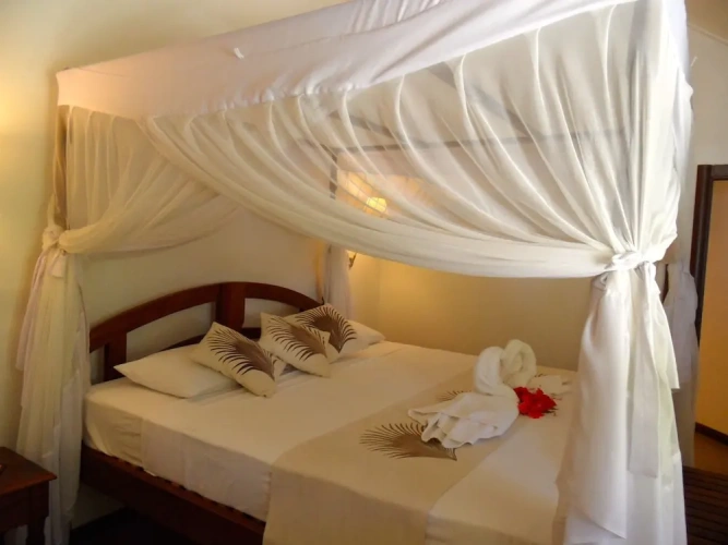 1 Bedroom Junior Suite with view