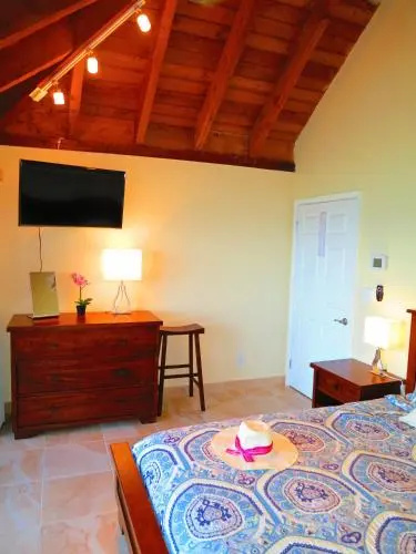 2BR Luxury Beachfront Duplex Villa on Sapphire Beach III