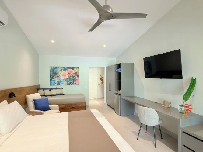 Deluxe Suite