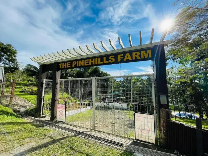 1193 Pinehall Farm Rizal