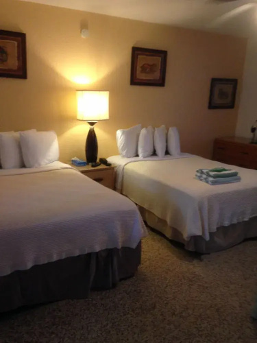 Amber Tides Motel