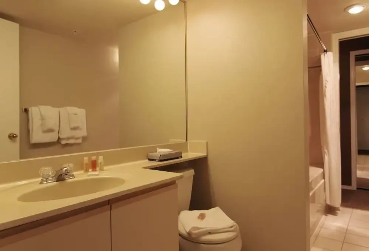 1 Bedroom Standard Basement room