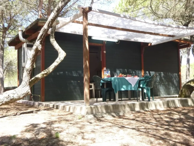 1 Bedroom Double Bungalow