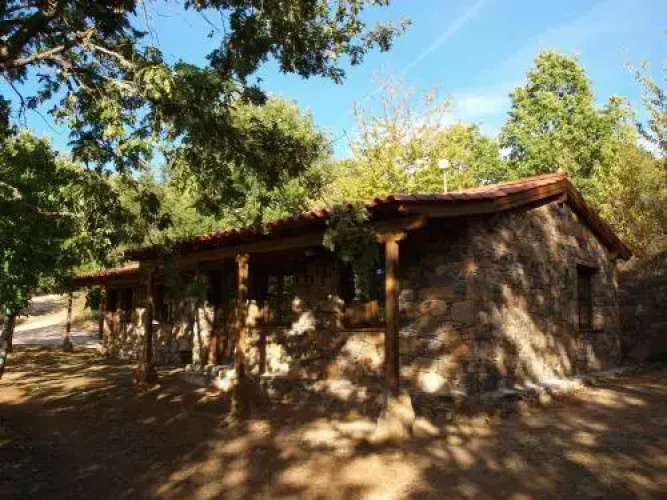 Cepo Verde