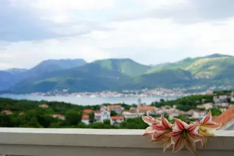 Apartment Novo Naselje